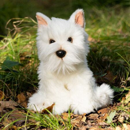 Animigos World Of Nature Westie Dog Soft Toy Toys At Foys
